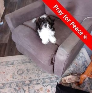 Meet your Posher, Eloise